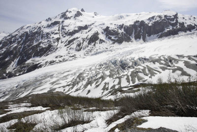 Exit Glacier