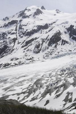 Exit Glacier