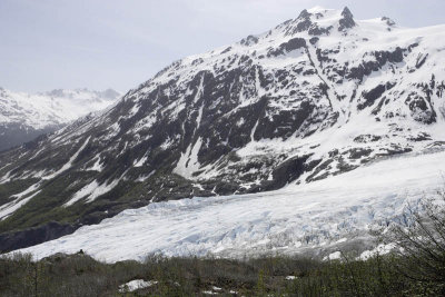 Exit Glacier