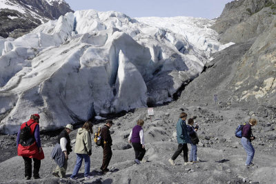 Exit Glacier