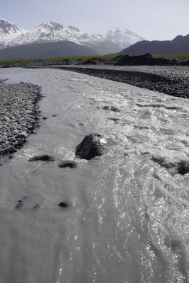 Exit Glacier area