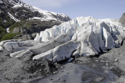 Exit Glacier