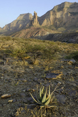 Tigray Mountain