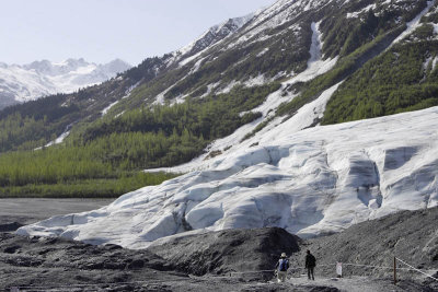 Exit Glacier area