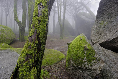 Two Sisters Rocks, Sintra, Portugal