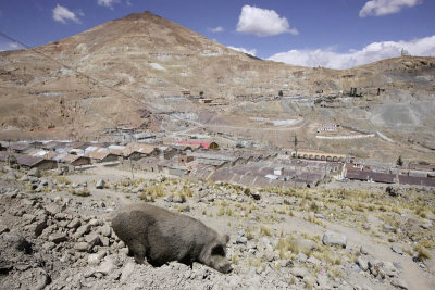 Potos, Cerro Rico