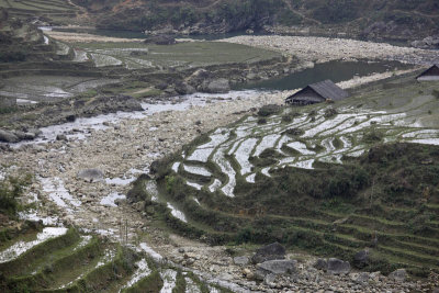 Rice fields around Sapa