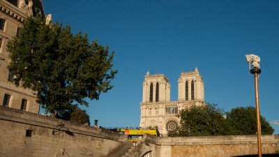 IMG_8867.jpg