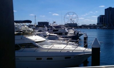 View of the southern star from  the docks - Joey A