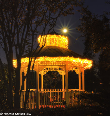 4771 Gazebo at Christmas with Moon