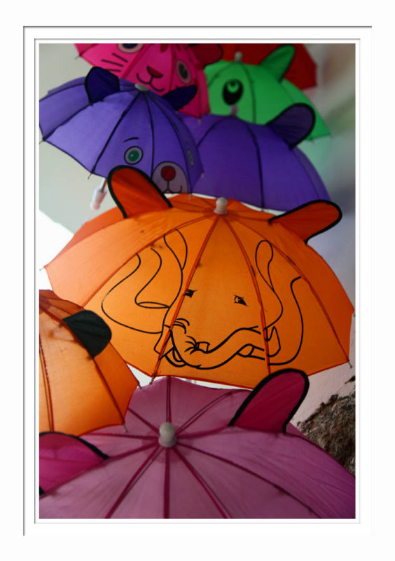 Jimei Umbrellas 集美