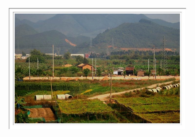 Fujian Rural Area
