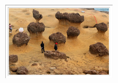 Yehliu Geopark 5 野柳地質公園