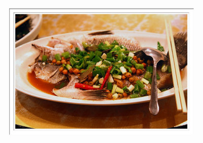 Steamed Fish Kaoshiung Seafood Net 高雄紅毛港海鮮餐廳