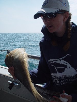 THE GUIDE SHOWED US THE WHALE 'S BALEEN-IT IS USED TO SIFT OUT THE TINY SEA CREATURES FOR FOOD