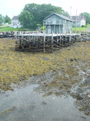 AT LOW TIDE THE WHARFS SHOW THEIR SKELETON