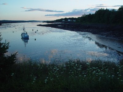 LOW TIDE FROM THE SAME LOCATION WHERE DID ALL THE WATER GO?