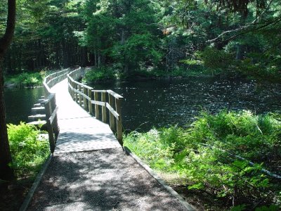 WE LOVED THIS LITTLE FOOT BRIDGE ON OUR WALK ALONG THE RIVER