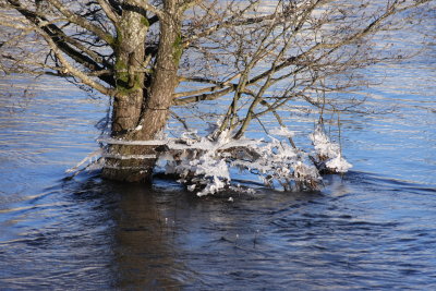 A cold day