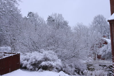 The winter is back