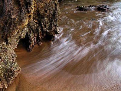 Among the rock / Entre la roca