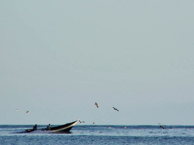 Fishers / Pescadores