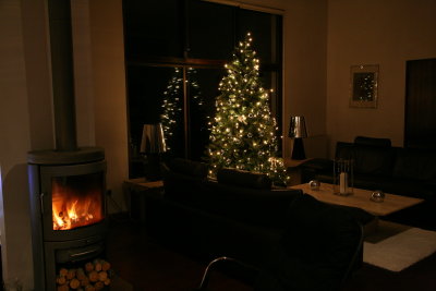 Christmas Tree Dec 2012