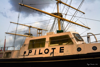 Pilote