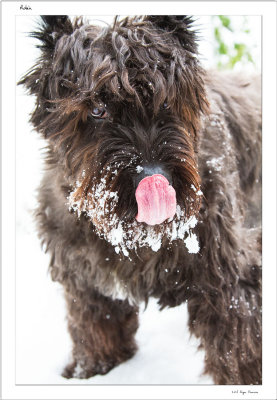 Hiver 2012-2013