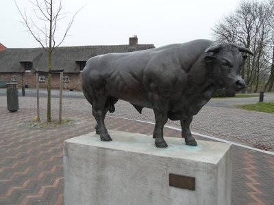 12_nieuwkuijk2013.jpg