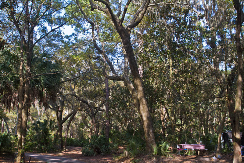 Hunting Island State Park-1233
