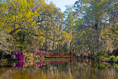 Magnolia Plantation-5934