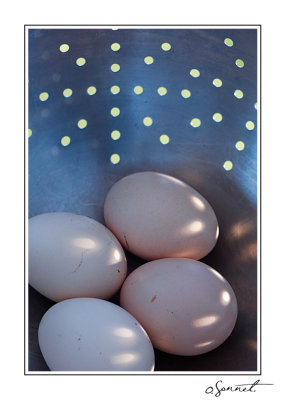 Les oeufs.jpg