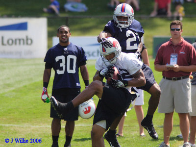 Buffalo Bills Training Camp