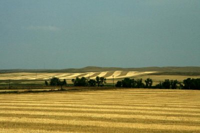 IMG_8629edit-768.jpg