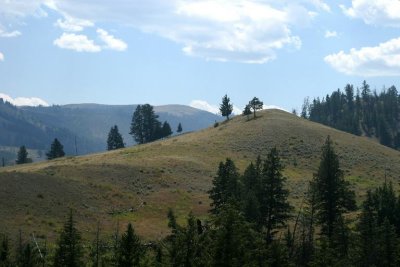 IMG_0821e2-768.jpg