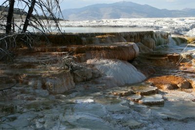 Mammoth Hot Springs
