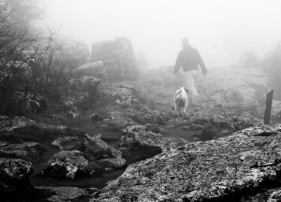 IMG_2929_bw_gg.jpg