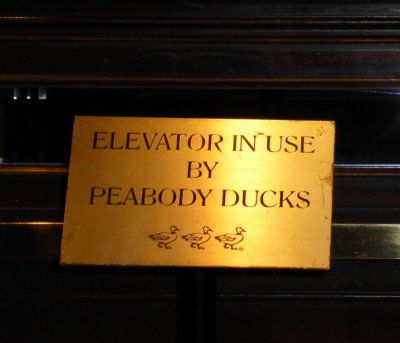 Elevator at the Peabody Hotel, Memphis