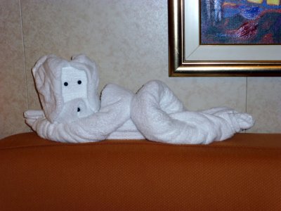 Towel Art in Our Cabin