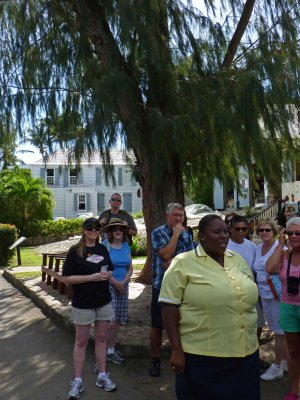 Tour Guide at Nelson's Dockyard