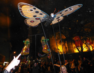 Krewe of Muses