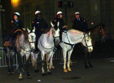 NOPD Mounted Patrol
