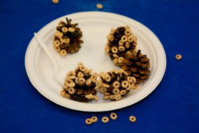 Project Bird Feeders: pine cones, chocolate soy butter & Cheerios