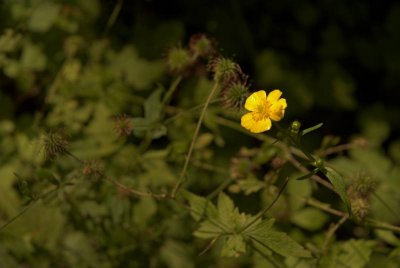 DSC_5053.jpg