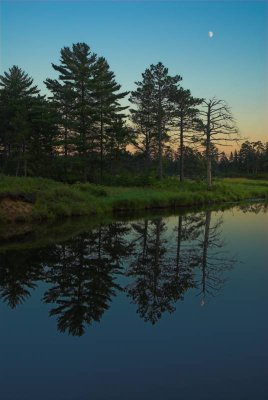 DSC_5445-01.jpg