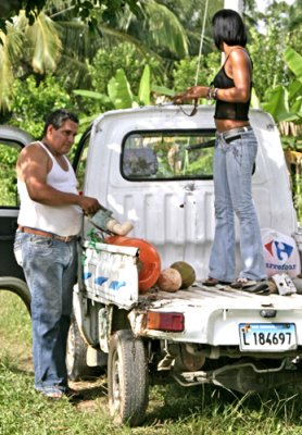 Pasadía, El Buey