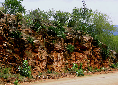 carretera Cabo Rojo - Hoyo de Pelempito