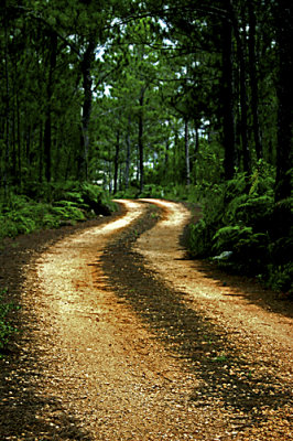 carretera hacia el Hoyo de Pelempito