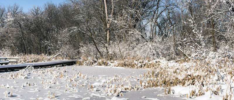 After the storm comes the beauty of Heron Haven. Everything is covered in a blanket of snow.
An image may be purchased at http://edward-peterson.artistwebsites.com/featured/all-quiet-edward-peterson.html